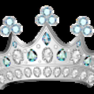 Meet your Posher, Mona